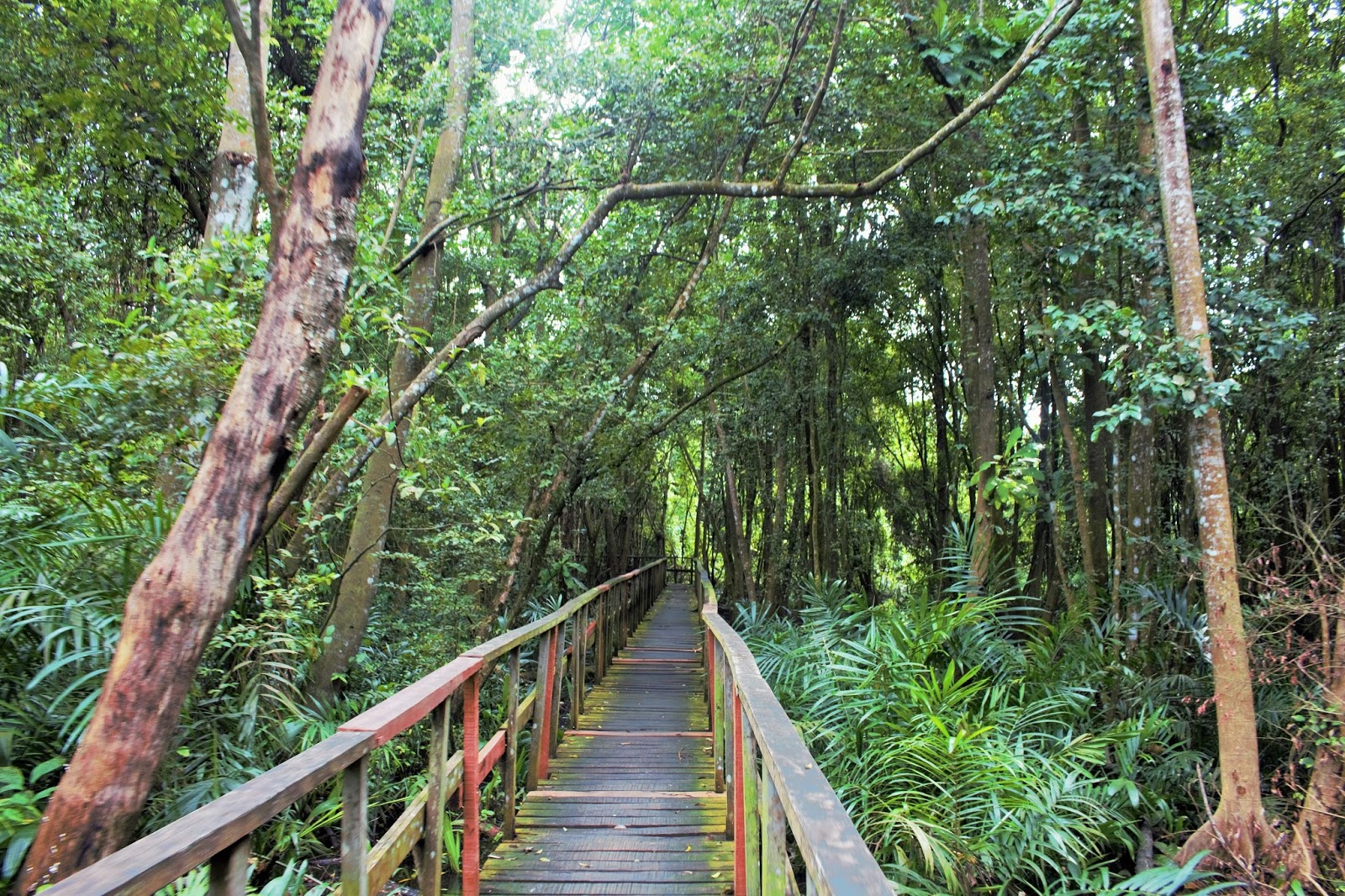 Lekki conservation centre